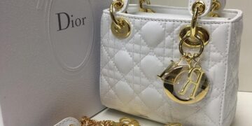 High-quality and stylish bags from Dior: assortment and tips for choosing