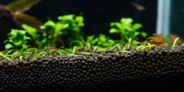 Як обрати грунт для акваріума: повне керівництво по типах грунту