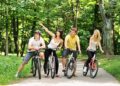 Bicycle rental: travel in comfort and admire the landscapes