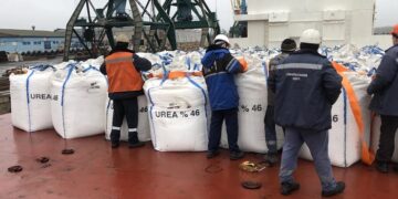 Kyiv Shipping Ltd.: 24 years of excellence in bagged cargo transportation by sea
