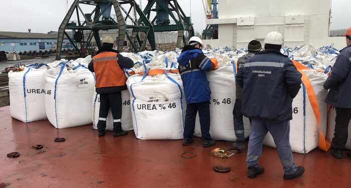 Kyiv Shipping Ltd.: 24 years of excellence in bagged cargo transportation by sea
