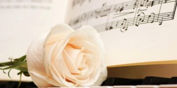 Überprüfung des online-shops Note Store: die hauptvorteile des angebots